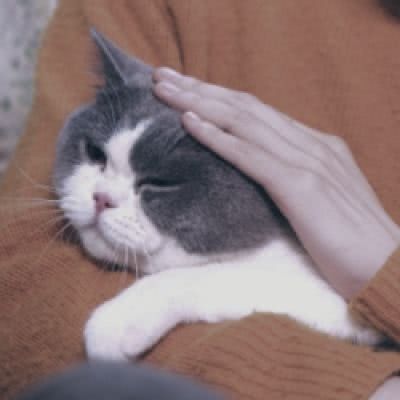 超绝高清可爱搞怪情侣头像，让人看了忍俊不禁 情侣头像 第2张