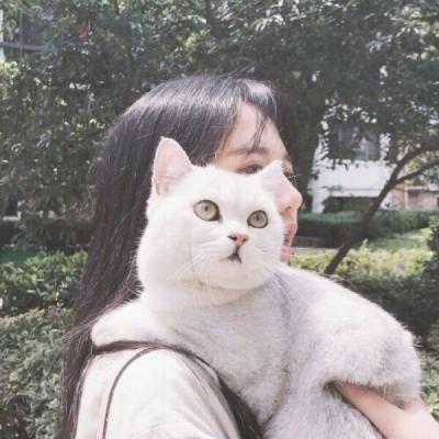 被狠狠拿捏住了!抱猫咪的仙气真人女生头像 女生头像 第24张 被狠狠拿捏住了!抱猫咪的仙气真人女生头像 女生头像 第24张