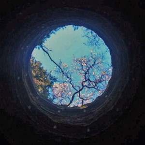 🎨2025年超适合做微信头像的宝藏图片来啦 其它头像 第16张 🎨2025年超适合做微信头像的宝藏图片来啦 其它头像 第16张
