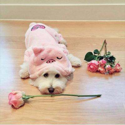 🐕萌到心化!狗狗头像图片大全 动物头像 第19张 🐕萌到心化!狗狗头像图片大全 动物头像 第19张