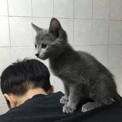 宝藏!男生不露脸真人头像来袭✨ 男生头像 第12张 宝藏!男生不露脸真人头像来袭✨ 男生头像 第12张