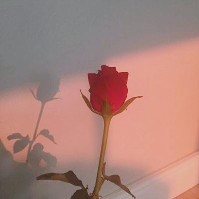 超绝！这些创意微信头像图片太可啦🎉 其它头像 第17张