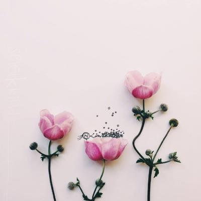 超绝！这些创意微信头像图片太可啦🎉 其它头像 第2张