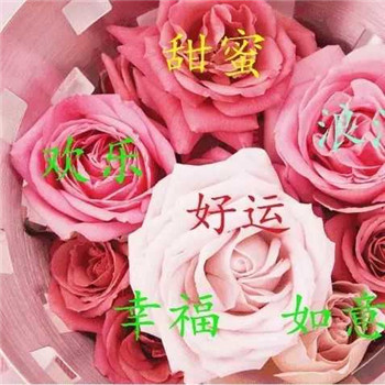 2025最好运头像,💖让您在2025年顺风顺水 其它头像 第22张 2025最好运头像,💖让您在2025年顺风顺水 其它头像 第22张