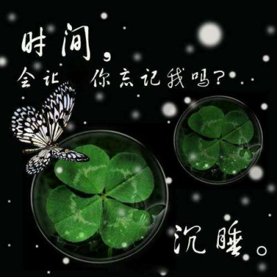 被这组四叶草头像美到，唯美清纯风狠狠爱住  其它头像 第9张