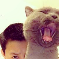 抱猫情侣头像一左一右💕超甜超有爱 情侣头像 第43张 抱猫情侣头像一左一右💕超甜超有爱 情侣头像 第43张