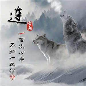 超燃!狼系霸气血性带字头像来袭🐺 其它头像 第9张 超燃!狼系霸气血性带字头像来袭🐺 其它头像 第9张