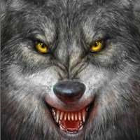 超A冷酷霸气狼系头像来袭🐺 动物头像 第14张