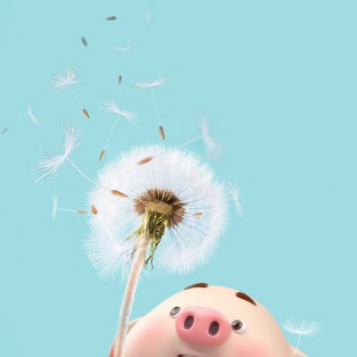 🐷萌化啦!超萌小猪头像图片大集合 动物头像 第9张 🐷萌化啦!超萌小猪头像图片大集合 动物头像 第9张