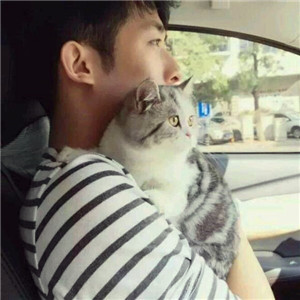 超萌带猫情侣头像来袭🐱一左一右超有默契 情侣头像 第1张 超萌带猫情侣头像来袭🐱一左一右超有默契 情侣头像 第1张