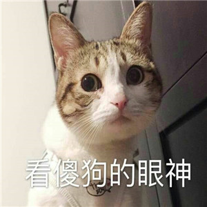 挖到宝啦！超绝的不像情侣头像的情侣头像🥰 情侣头像 第3张