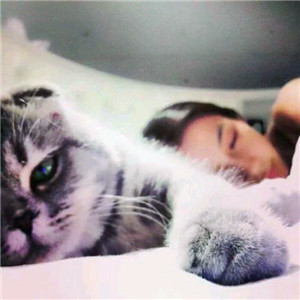 超萌带猫情侣头像来袭🐱一左一右超有默契 情侣头像 第24张 超萌带猫情侣头像来袭🐱一左一右超有默契 情侣头像 第24张