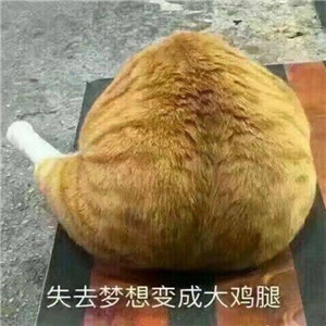 挖到宝啦！超绝的不像情侣头像的情侣头像🥰 情侣头像 第17张
