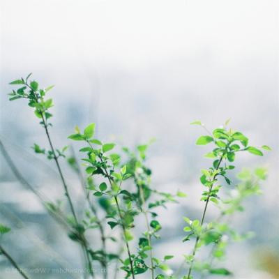 一看就舒心的微信风景头像图片,换上心情都会变好 风景头像 第9张 一看就舒心的微信风景头像图片,换上心情都会变好 风景头像 第9张