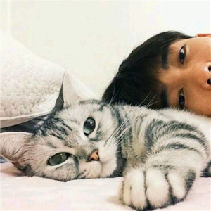 超萌带猫情侣头像来袭🐱一左一右超有默契 情侣头像 第23张 超萌带猫情侣头像来袭🐱一左一右超有默契 情侣头像 第23张