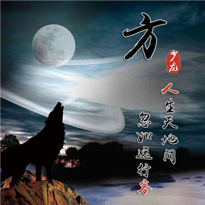 超燃!狼系霸气血性带字头像来袭🐺 其它头像 第14张 超燃!狼系霸气血性带字头像来袭🐺 其它头像 第14张