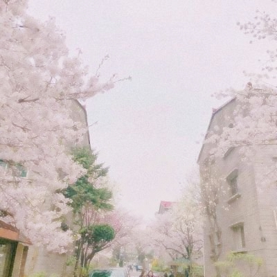 粉色系风景静风头像图片,被美到啦! 风景头像 第21张 粉色系风景静风头像图片,被美到啦! 风景头像 第21张