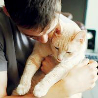 抱猫情侣头像一左一右💕超甜超有爱 情侣头像 第34张 抱猫情侣头像一左一右💕超甜超有爱 情侣头像 第34张