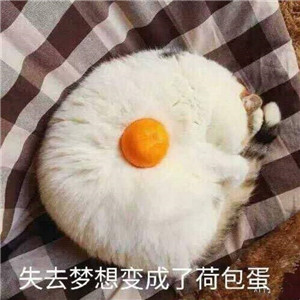 挖到宝啦！超绝的不像情侣头像的情侣头像🥰 情侣头像 第18张