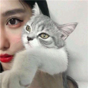 超萌带猫情侣头像来袭🐱一左一右超有默契 情侣头像 第22张 超萌带猫情侣头像来袭🐱一左一右超有默契 情侣头像 第22张