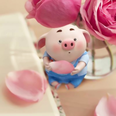 萌化啦!可爱超萌猪猪微信头像大集合🐷 动物头像 第15张 萌化啦!可爱超萌猪猪微信头像大集合🐷 动物头像 第15张