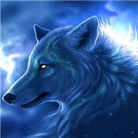 超A冷酷霸气狼系头像来袭🐺 动物头像 第13张
