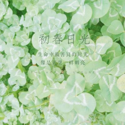 创意的唯美静物风景头像，被这些图片美到了 风景头像 第24张
