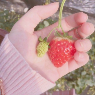 被粉红色背景的小清新头像拿捏住啦🎀 其它头像 第22张
