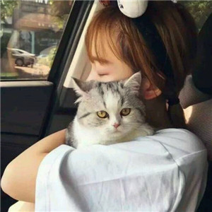 超萌带猫情侣头像来袭🐱一左一右超有默契 情侣头像 第2张 超萌带猫情侣头像来袭🐱一左一右超有默契 情侣头像 第2张