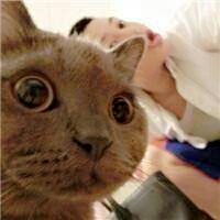 抱猫情侣头像一左一右💕超甜超有爱 情侣头像 第33张 抱猫情侣头像一左一右💕超甜超有爱 情侣头像 第33张