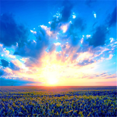 招财平安系风景微信图片来袭✨ 风景头像 第11张 招财平安系风景微信图片来袭✨ 风景头像 第11张