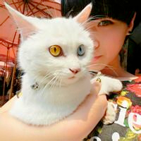 抱猫情侣头像一左一右💕超甜超有爱 情侣头像 第48张 抱猫情侣头像一左一右💕超甜超有爱 情侣头像 第48张