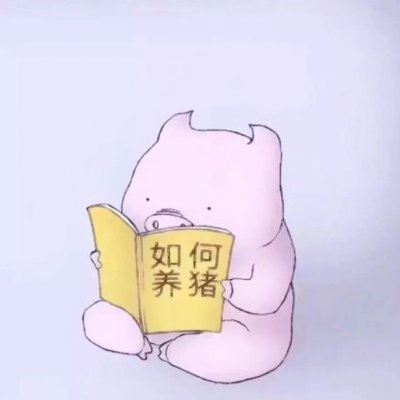 萌化啦！猪猪头像简直太可爱🥰 动物头像 第23张