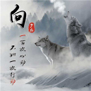 超燃!狼系霸气血性带字头像来袭🐺 其它头像 第13张 超燃!狼系霸气血性带字头像来袭🐺 其它头像 第13张