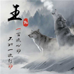 超燃!狼系霸气血性带字头像来袭🐺 其它头像 第15张 超燃!狼系霸气血性带字头像来袭🐺 其它头像 第15张