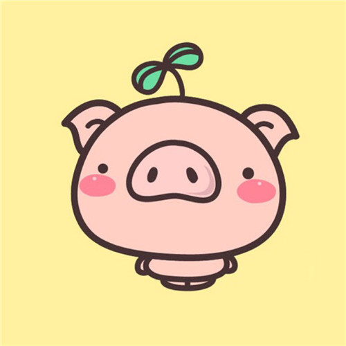 🐷猪年必备！超全高清旺财微信头像来袭  节日头像 第11张