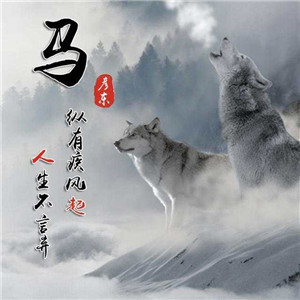 超燃!狼系霸气血性带字头像来袭🐺 其它头像 第6张 超燃!狼系霸气血性带字头像来袭🐺 其它头像 第6张