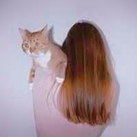抱猫情侣头像一左一右💕超甜超有爱 情侣头像 第16张 抱猫情侣头像一左一右💕超甜超有爱 情侣头像 第16张