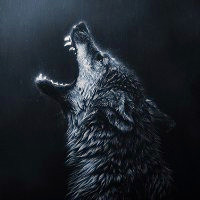 超A冷酷霸气狼系头像来袭🐺 动物头像 第8张