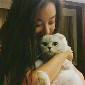 超萌带猫情侣头像来袭🐱一左一右超有默契 情侣头像 第3张 超萌带猫情侣头像来袭🐱一左一右超有默契 情侣头像 第3张