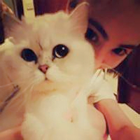 抱猫情侣头像一左一右💕超甜超有爱 情侣头像 第47张 抱猫情侣头像一左一右💕超甜超有爱 情侣头像 第47张