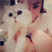 抱猫情侣头像一左一右💕超甜超有爱 情侣头像 第25张 抱猫情侣头像一左一右💕超甜超有爱 情侣头像 第25张