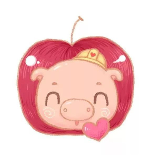 🐷猪年必备！超全高清旺财微信头像来袭  节日头像 第6张