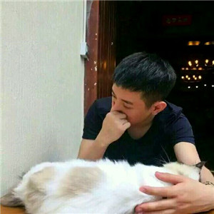 超萌带猫情侣头像来袭🐱一左一右超有默契 情侣头像 第13张 超萌带猫情侣头像来袭🐱一左一右超有默契 情侣头像 第13张
