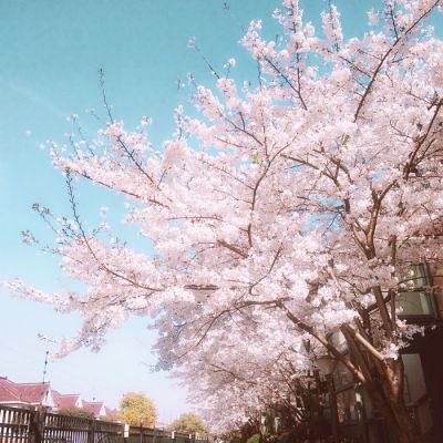 文艺小清新图片头像来袭✨ 其它头像 第13张 文艺小清新图片头像来袭✨ 其它头像 第13张