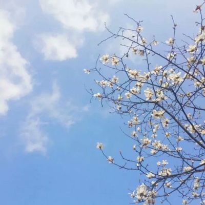 文艺小清新图片头像来袭✨ 其它头像 第11张 文艺小清新图片头像来袭✨ 其它头像 第11张