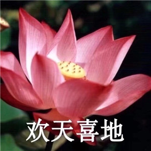 绝美好看的莲花微信头像大全🌸 其它头像 第11张 绝美好看的莲花微信头像大全🌸 其它头像 第11张