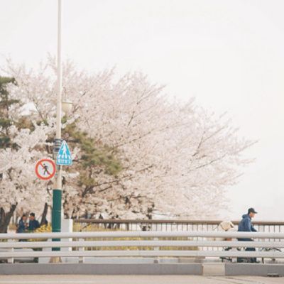 文艺小清新图片头像来袭✨ 其它头像 第19张 文艺小清新图片头像来袭✨ 其它头像 第19张