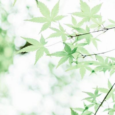 简约干净又高清唯美的微信头像来啦✨ 其它头像 第17张 简约干净又高清唯美的微信头像来啦✨ 其它头像 第17张