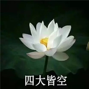 绝美好看的莲花微信头像大全🌸 其它头像 第33张 绝美好看的莲花微信头像大全🌸 其它头像 第33张